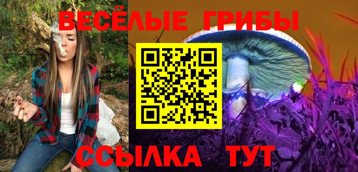 Зерноград  Псилоцибиновые грибы Psilocybe  Псилоцибиновые грибы ЛСД  Вход с VPN 