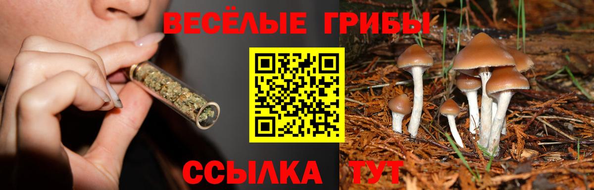 Галлюциногенные грибы Magic Shrooms Зерноград